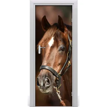 Fototapeta Samolepící fototapeta na dveře Kůň portrét 95x205 cm
