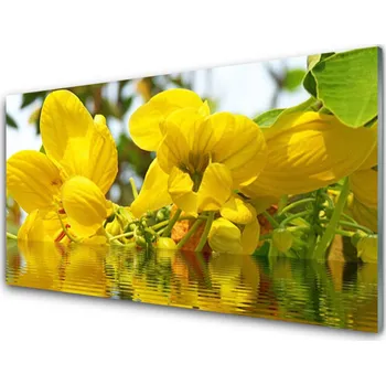 Obraz Obraz na skle Květiny Rostlina Příroda 100x50 cm 2 Přívěsky
