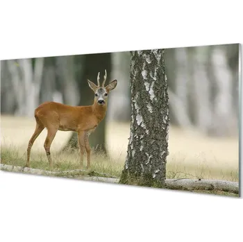 Obraz Obraz na skle jelen lesní 125x50 cm 4 Přívěsky
