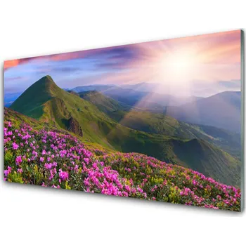 Obraz Obraz na skle Hory Louka Květiny Krajina 100x50 cm 2 Přívěsky