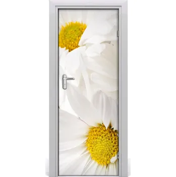 Fototapeta Fototapeta samolepící sedmikrásky 75x205 cm