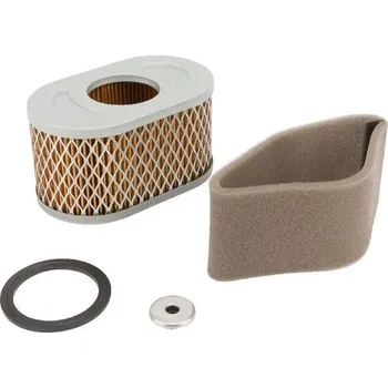 Zahradní technika BRIGGS & STRATTON Filtr vzduchový B&S (797033)