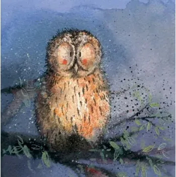 Přání v obálce Night owl, sova od ALEX CLARK 14*14 cm (Blahopřání se sovou)