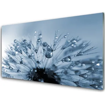 Obraz Obraz na skle Pampeliška Květ Kapky 100x50 cm 2 Přívěsky