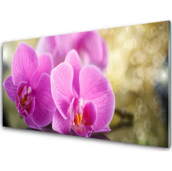 Obraz Obraz na skle Květiny Rostlina Příroda 140x70 cm 2 Přívěsky