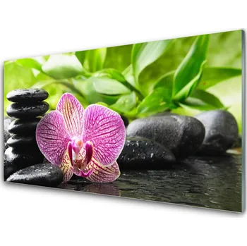 Obraz Obraz na skle Květ Kameny Rostlina 100x50 cm 2 Přívěsky