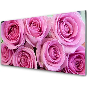 Obraz Obraz na skle Růže Květiny Rostlina 140x70 cm 2 Přívěsky