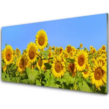 Obraz Obraz na skle Slunečnice Květ Rostlina 125x50 cm 2 Přívěsky