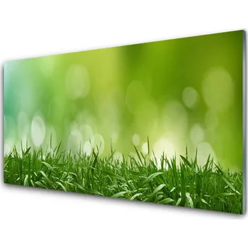 Obraz Obraz na skle Tráva Rostlina Příroda 125x50 cm 2 Přívěsky