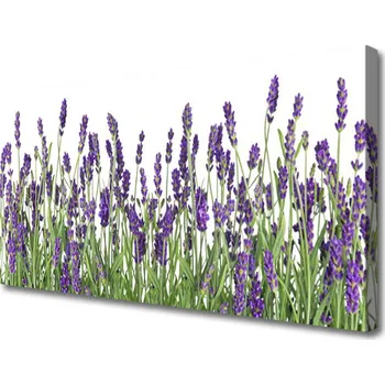 Obraz Obraz na plátně Květiny Rostlina Příroda 125x50 cm