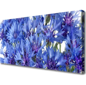 Obraz Obraz na plátně Květiny Rostlina Příroda 125x50 cm