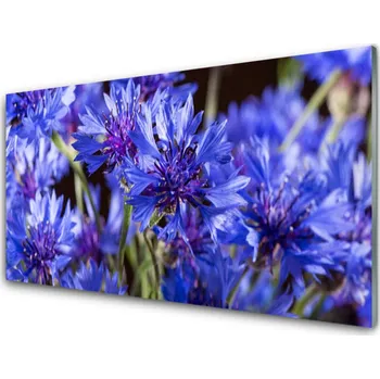 Obraz Obraz na skle Květiny Rostlina Příroda 125x50 cm 2 Přívěsky