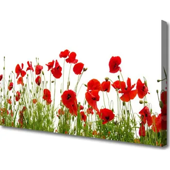 Obraz Obraz na plátně Máky Květiny Příroda 125x50 cm