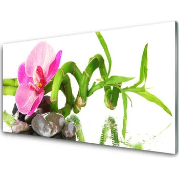 Obraz Obraz na skle Květ Rostlina Příroda 125x50 cm 2 Přívěsky