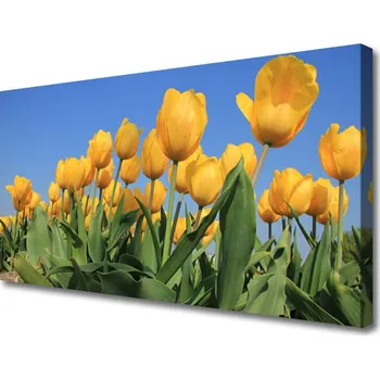 Obraz Obraz na plátně Tulipány Květiny Rostlina 120x60 cm