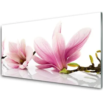 Obraz Obraz na skle Květiny Rostlina Příroda 120x60 cm 2 Přívěsky