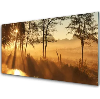 Obraz Obraz na skle Stromy Příroda 100x50 cm 2 Přívěsky