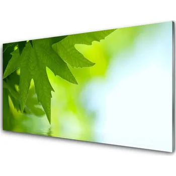 Obraz Obraz na skle Listy Příroda Rostlina 125x50 cm 2 Přívěsky