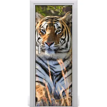Fototapeta Samolepící fototapeta na dveře Tygr 95x205 cm