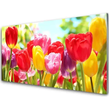 Obraz Obraz na skle Tulipány Květiny Rostlina 140x70 cm 2 Přívěsky