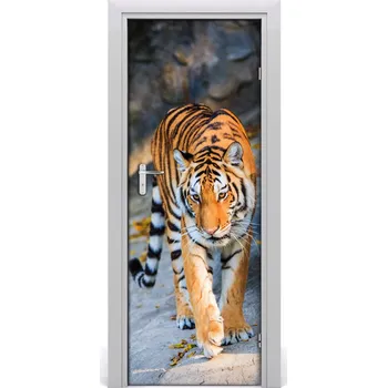 Fototapeta Samolepící fototapeta na dveře Tygr 95x205 cm