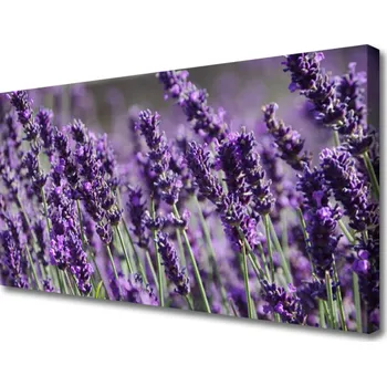 Obraz Obraz na plátně Květiny Rostlina Příroda 120x60 cm