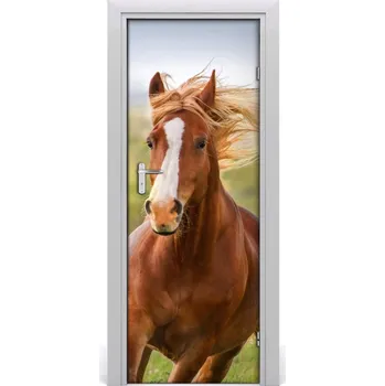 Fototapeta Samolepící fototapeta na dveře Kůň ve cvalu 95x205 cm