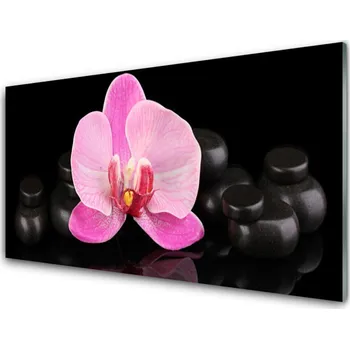 Obraz Obraz na skle Květ Kameny Rostlina 100x50 cm 2 Přívěsky