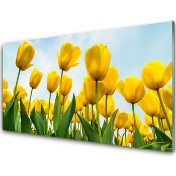 Obraz Obraz na skle Tulipány Květiny Rostlina 125x50 cm 4 Přívěsky