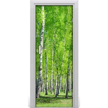 Fototapeta Fototapeta na dveře samolepící břízový les 75x205 cm