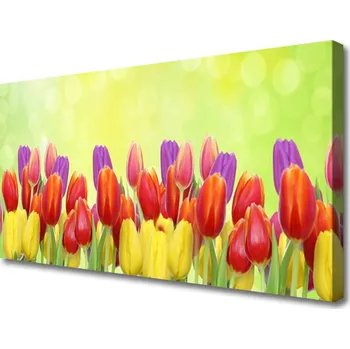 Obraz Obraz na plátně Tulipány Květiny Rostlina 120x60 cm