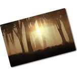 Kuchyňská deska skleněná Mlha v lese