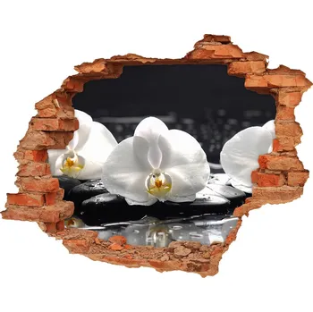 Fototapeta Samolepící díra na stěnu nálepka Orchidej