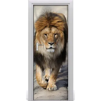 Fototapeta Samolepící fototapeta na dveře Lev portrét 85x205 cm