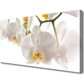 Obraz Obraz na plátně Orchidej Květiny Příroda 100x50 cm