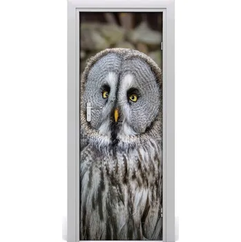 Fototapeta Samolepící fototapeta na dveře Sova na kopci 85x205 cm