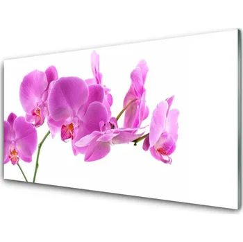 Obraz Obraz na skle Květiny Rostlina Příroda 120x60 cm 2 Přívěsky