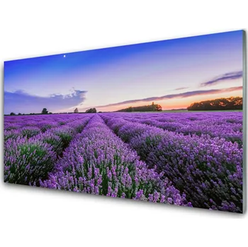 Obraz Obraz na skle Louka Květiny Příroda Rostlina 140x70 cm 2 Přívěsky