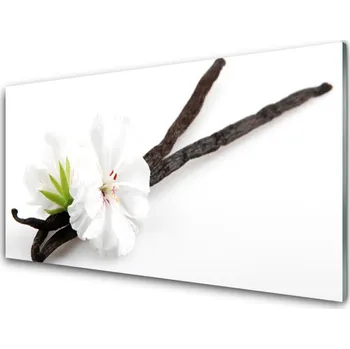 Obraz Obraz na skle Květ Rostlina Příroda 100x50 cm 2 Přívěsky