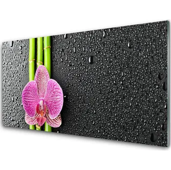 Obraz Obraz na skle Bambus Květ Rostlina Příroda 100x50 cm 2 Přívěsky