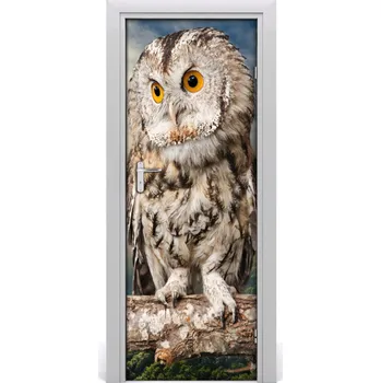 Fototapeta Samolepící fototapeta na dveře Sova na kopci 95x205 cm