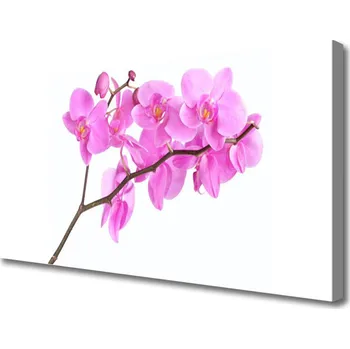 Obraz Obraz na plátně Květiny Rostlina Příroda 120x60 cm