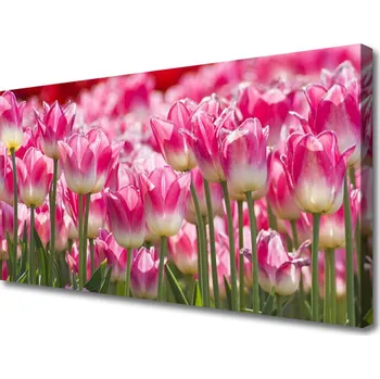 Obraz Obraz na plátně Tulipány Květiny Příroda 125x50 cm