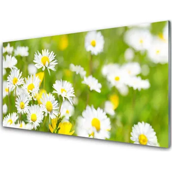 Obraz Obraz na skle Sedmikráska Květ Rostlina 100x50 cm 2 Přívěsky