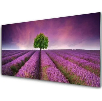 Obraz Obraz na skle Louka Strom Příroda 125x50 cm 2 Přívěsky