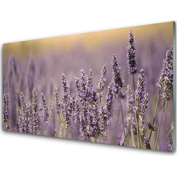 Obraz Obraz na skle Květiny Rostlina Příroda 140x70 cm 4 Přívěsky