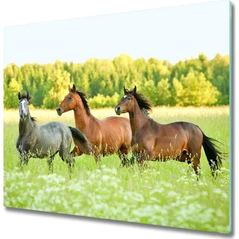 Kuchyňské prkénko Skleněná krájecí deska Koně v cvalu 60x52 cm