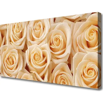 Obraz Obraz na plátně Růže Květiny Rostlina 100x50 cm