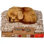 Malý pejsek Perfect Petzzz