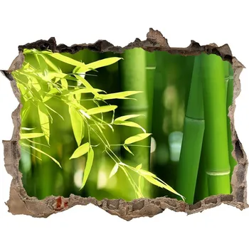 Fototapeta Samolepící díra na stěnu nálepka Bambus